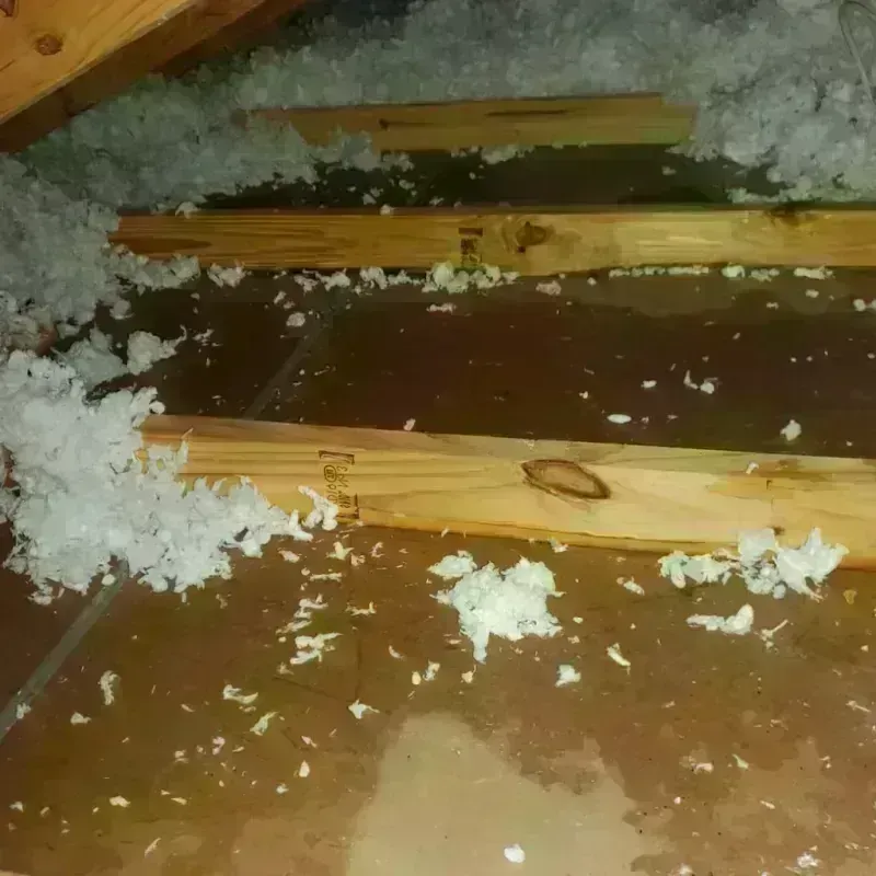 Attic Water Damage in Wallace, FL