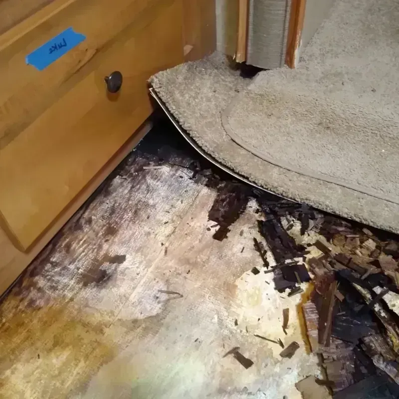 Best Wood Floor Water Damage Service in Wallace, FL